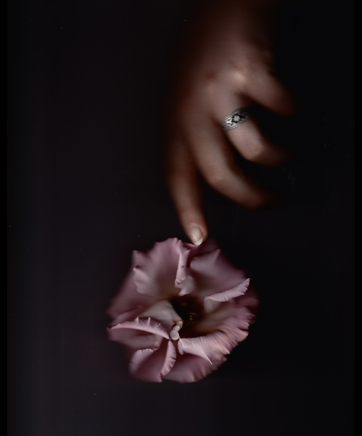 Photographie
